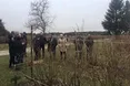 «Вирощуємо на своїх ділянках картоплю й моркву, а поляки – фундук і лохину»