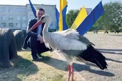 Мирний птах іде до рук жителям Миролюбівки.