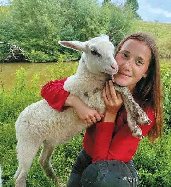 Ягнята дуже люблять свою господиню.