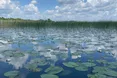 Краще, ніж у Чорногорії. А ти в Чорногорії була? Ні, але тут краще!