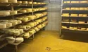 «Чесниківський сир» смакує з джемом!