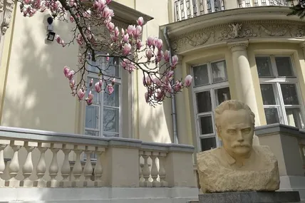 Магнолія у Львові. Фото: Дім Франка - Franko House