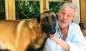 Заповіту зірки не виконали. І добре зробили!