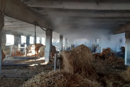 Фото: Сили оборони півдня