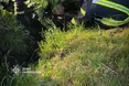 У Сокільниках чоловіка після судомного нападу знайшли в канаві та госпіталізували