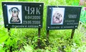 «Тут спочиває Августина Клодетт Жулька»