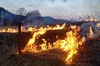 За добу на Львівщині згоріло понад 2 гектари трави (ФОТО)