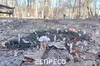 Рекордні температури: у Львові зацвіли квіти