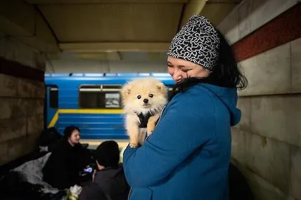 Фото: ukr.net