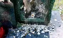 «Не треба розчухувати болючі рани польсько-українських відносин…»
