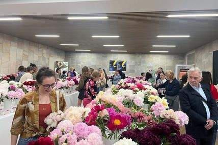 Пелюсткова хмаринка посеред червня