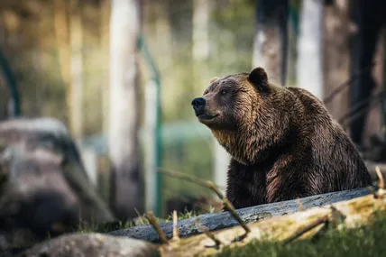 Фото ілюстративне із сайту Pexels