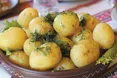 Молода картопля омолодить організм