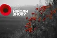 День пам'яті та примирення: історія дати та програма заходів