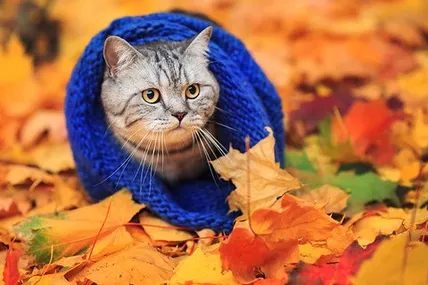 Фото умовне