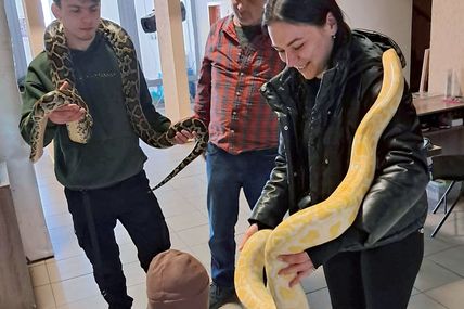 Є така дитяча мрія&nbsp;&mdash; погладити&hellip; пітона
