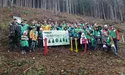 Переселенці садили у Карпатах ялиці...