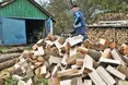 Рубають з плеча: «сирі» закони — як сирі дрова…
