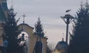 Лелеці-безхатьку повернули його гніздо