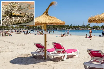 Фото із сайту Daily Mail