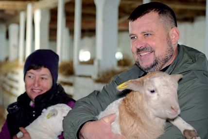 Ветеран вирощує овець
