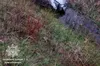 На Львівщині п’яний водій злетів у кювет