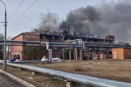 Фото: Shot