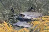 У Львові та околицях знайшли уламки російських БпЛА і ракет