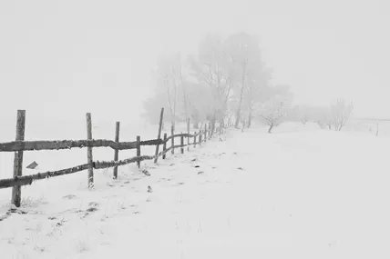 Фото ілюстративне із сайту Pexels