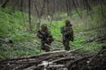 Оперативне зведення: Сили оборони стримують масований наступ окупантів на Покровському та Гуляйпільському напрямках