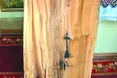 Для когось це дерево – святиня, для когось – пам’ятник…