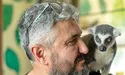 У сім'ях лемурів справами заправляє самка