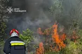 На Львівщині за добу сталися 22 пожежі в екосистемах: вигоріло понад 1,7 га