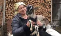 Світову популярність селянка здобула завдяки... козам