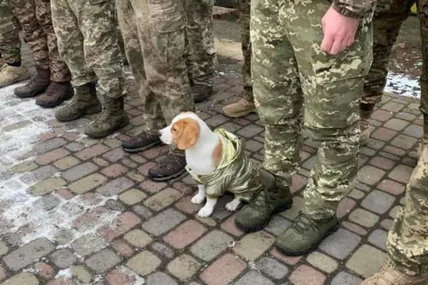 Фото з відкритих джерел