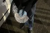 У Словаччину за 12,5 тисяч доларів: на Львівщині затримали 47-річну жінку, яка організувала незаконне переправлення через кордон