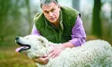 Звідки гроші на ремонт вілли Габсбургів?