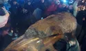 Київського Леніна розібрали на сувеніри