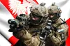 Польща запланувала військові навчання з країнами НАТО: це відповідь на навчання «Захід» росії і білорусі