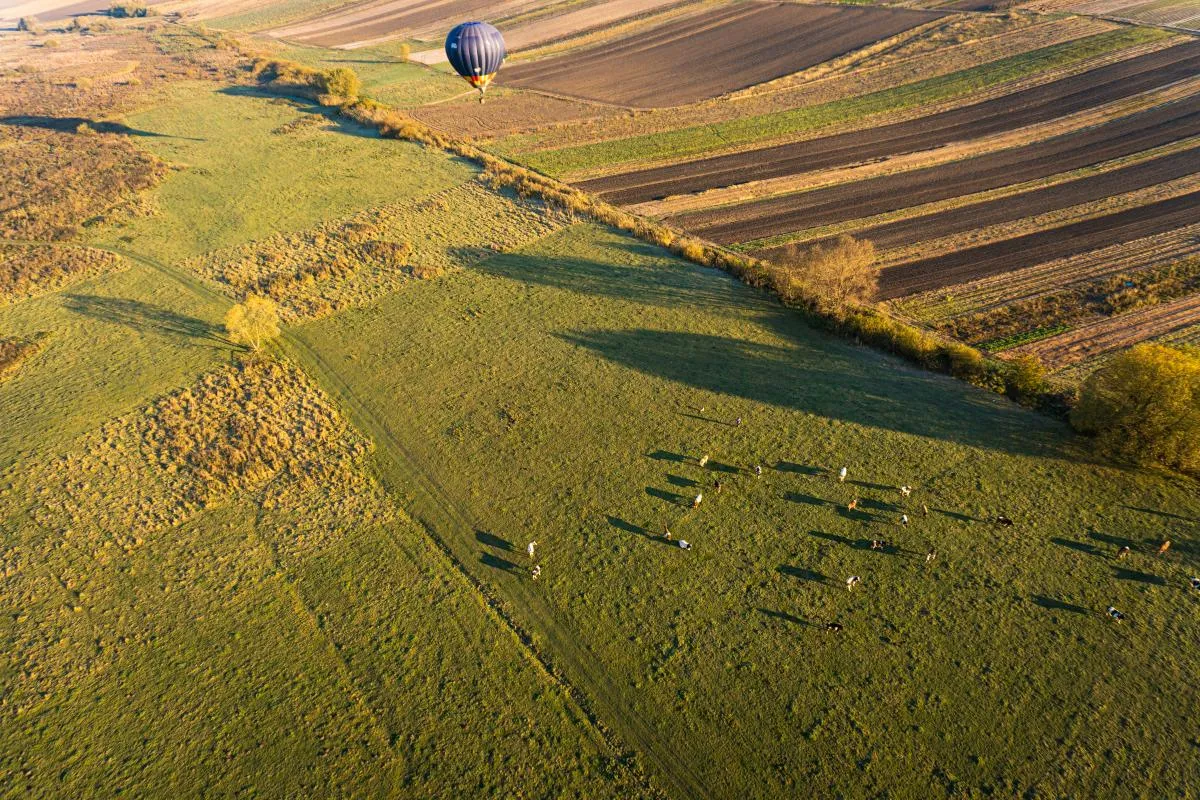 Фото Юрія Пляцушка