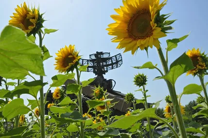 Війна в Україні. Фото:  Генштаб ЗСУ