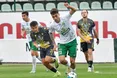 Львівське дербі: «зелено-білі» проти «жовто-чорних»