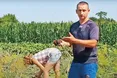 У Брусів вродила велика цибуля