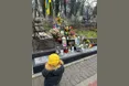 У Львові запровадять екскурсії пам‘яті Ірини Фаріон. Що відвідають туристи?