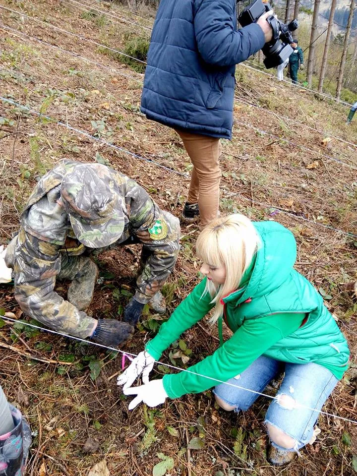 Журналіст “ВЗ” садить іменне дерево — бук “Високий Замок”.