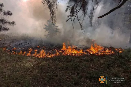 Наслідки обстрілів Лісового заказника місцевого значення "Балабанівка" на Миколаївщині