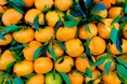 На львівських ринках посилили контроль за мандаринами