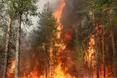 У нацпарку «Святі гори» на Донеччині пожежа знищила 1500 гектарів лісу