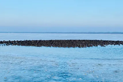 Фото: Шацький національний природний парк