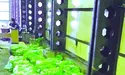 Рекордну партію героїну через Волинь везли у Польщу